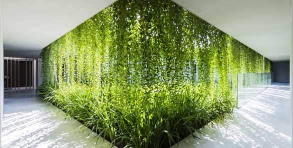 6 LocalPlants 2